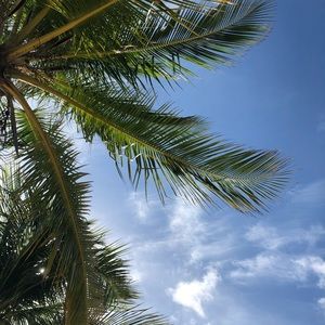 Meet your Posher, Stephen